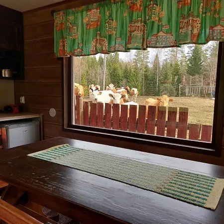 Koivurannan Lomamoekit Pihlaja