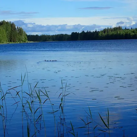 Koivurannan Lomamoekit Pihlaja *