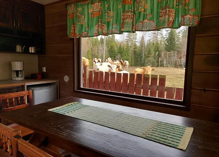 Koivurannan Lomamoekit Pihlaja