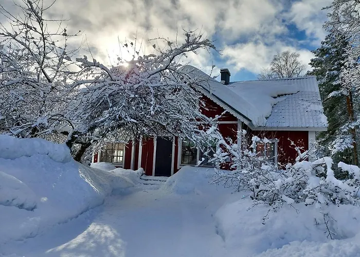 Koivurannan Lomamoekit Pihlaja * Nykala