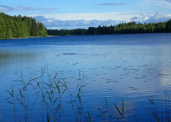 Koivurannan Lomamoekit Pihlaja *